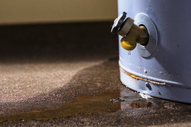 Best Residential water damage restoration  in Oak Hill, TN