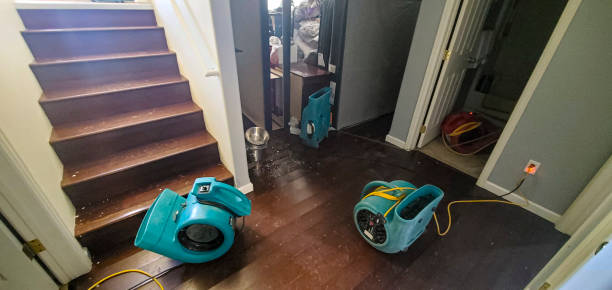 Best Local water damage restoration  in Oak Hill, TN