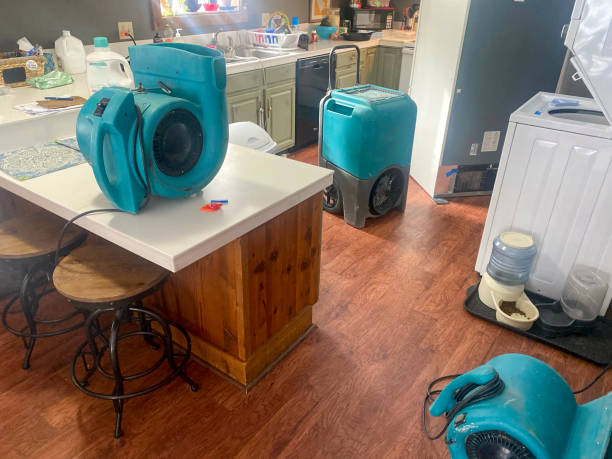 Best Water damage restoration company  in Oak Hill, TN