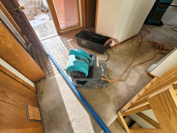 Best Water damage restoration mold remediation  in Oak Hill, TN