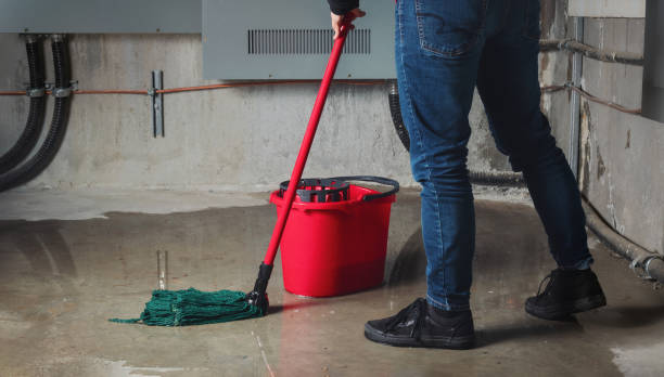 Best Emergency water damage restoration  in Oak Hill, TN