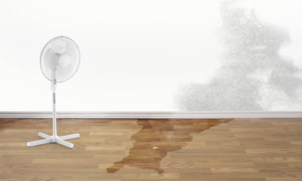  Oak Hill, TN Water damage restoration Pros