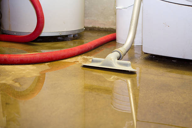 Best Water damage restoration insurance claims  in Oak Hill, TN