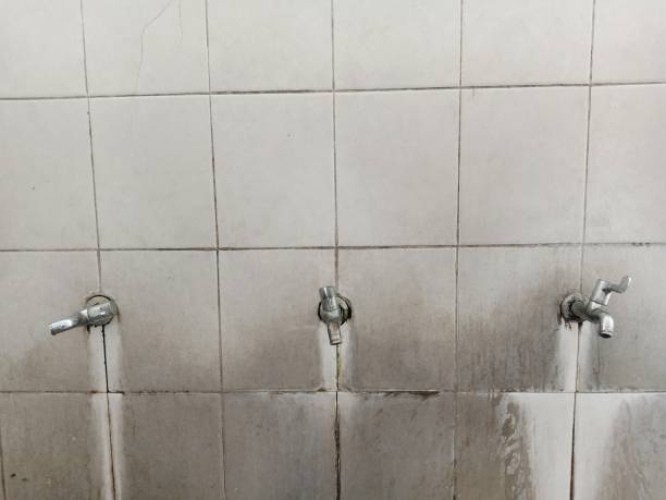 Best Carpet water damage restoration  in Oak Hill, TN
