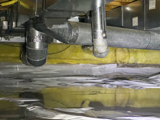Best Basement water damage restoration  in Oak Hill, TN