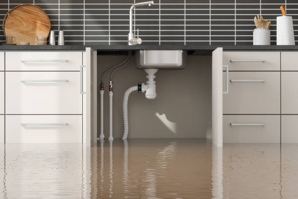 Best Professional water damage repair  in Oak Hill, TN