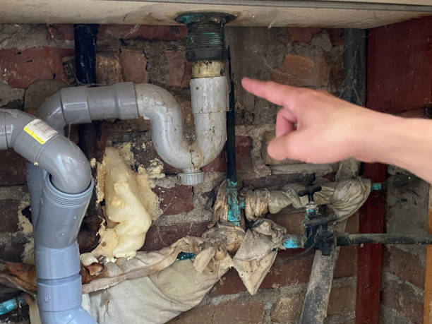 Water damage restoration mold remediation in TN