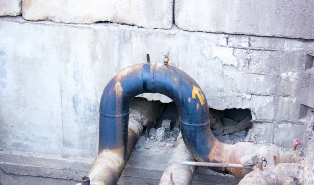 Best Mold removal after water damage  in Oak Hill, TN