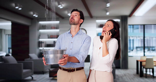 Best Fire Damage Restoration  in Oak Hill, TN