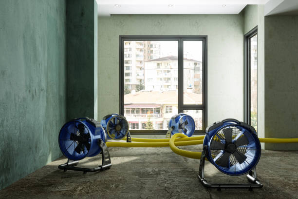 Best Ceiling water damage repair  in Oak Hill, TN