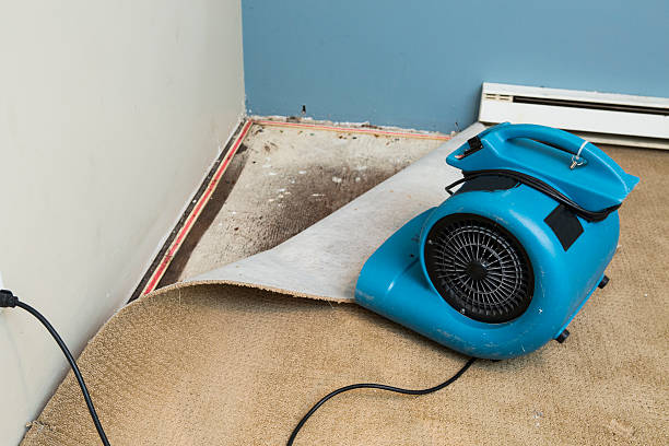  Oak Hill, TN Water damage restoration Pros
